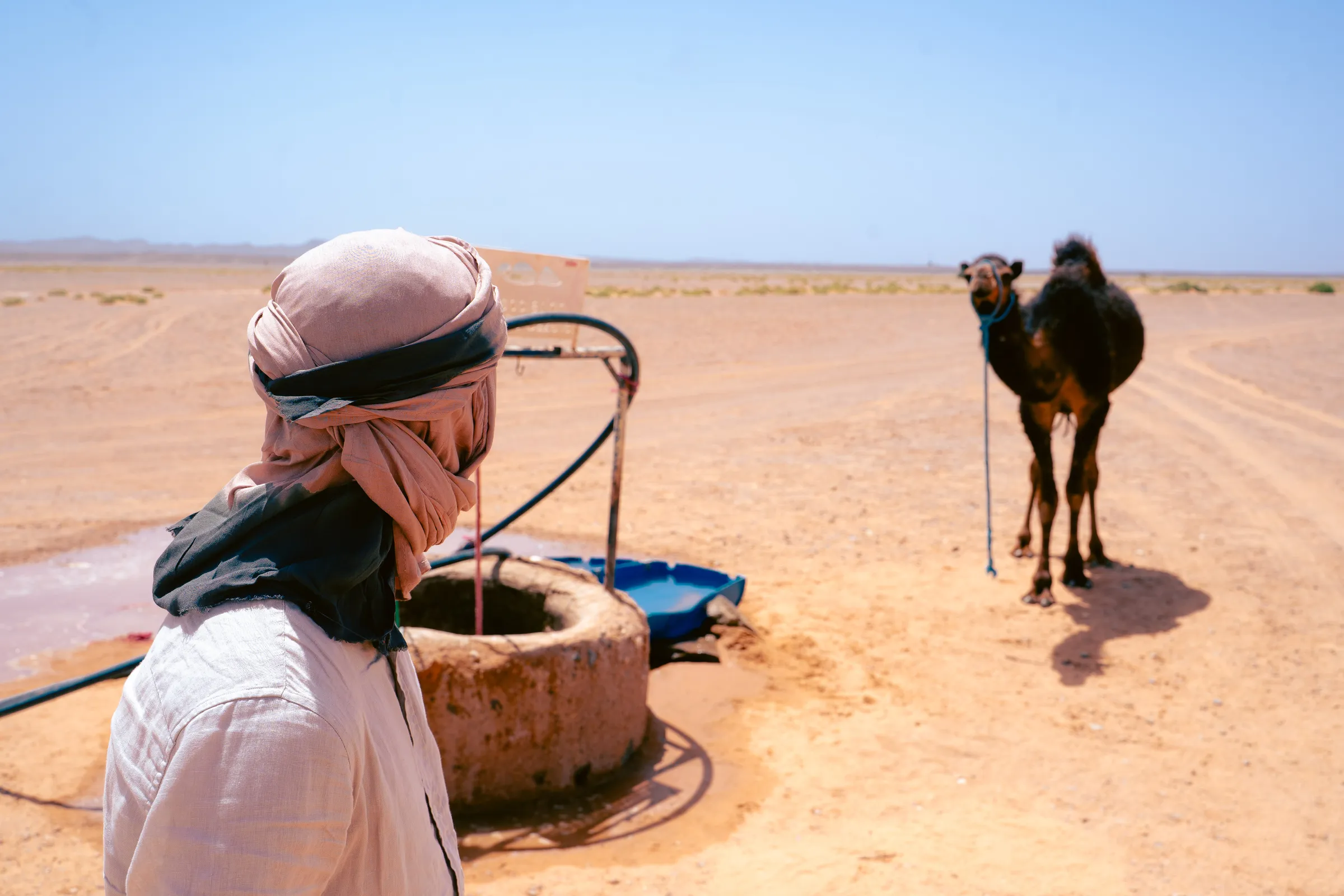 Camel Trek vs 4x4: How to Explore the Erg Chebbi