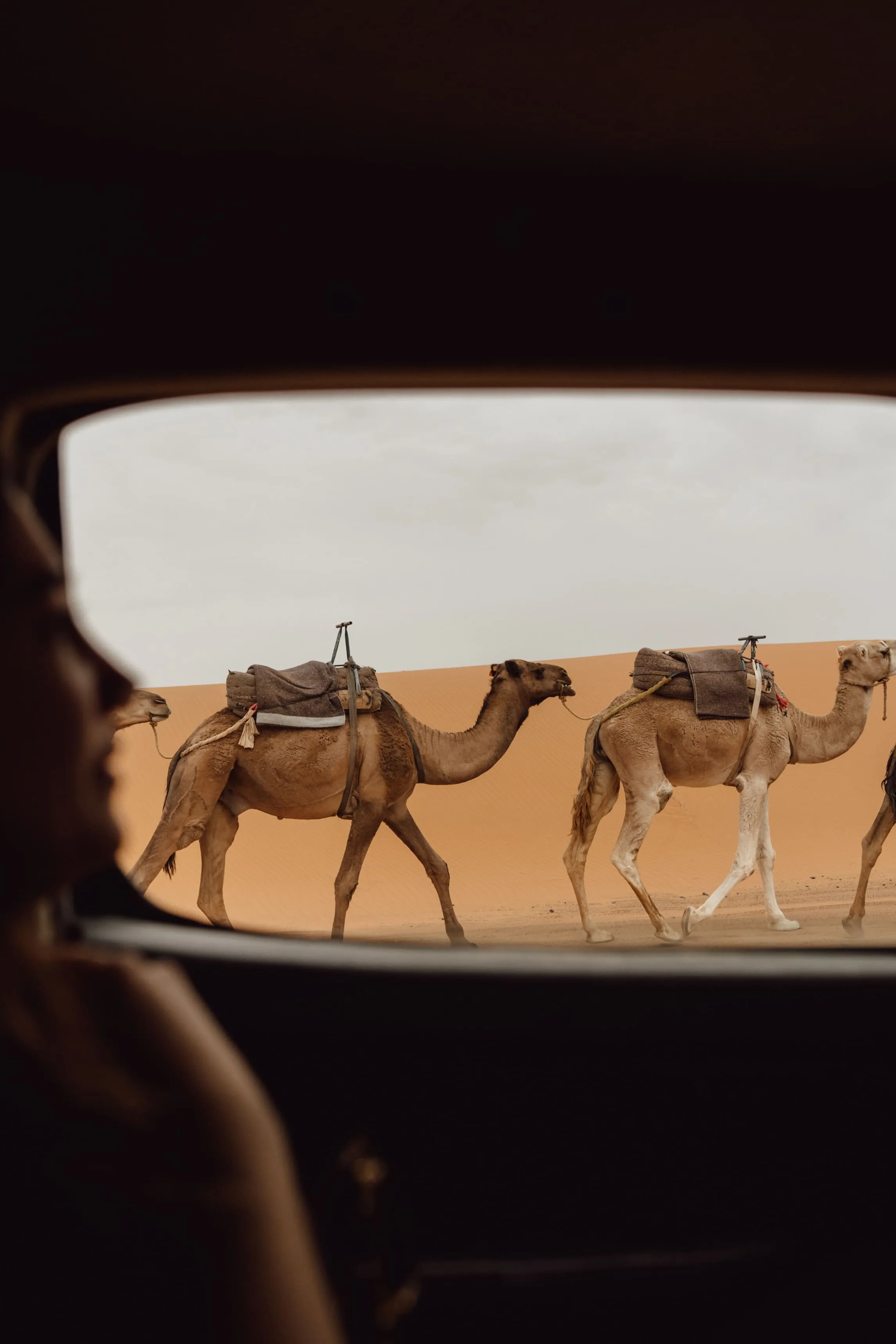 Heart of the Sahara