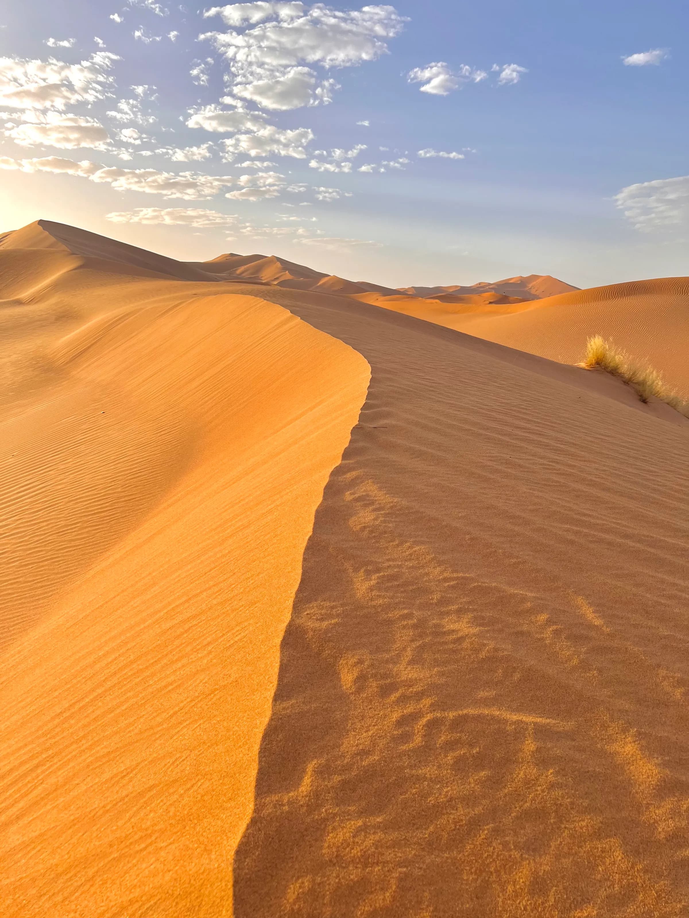 Heart of the Sahara — 2