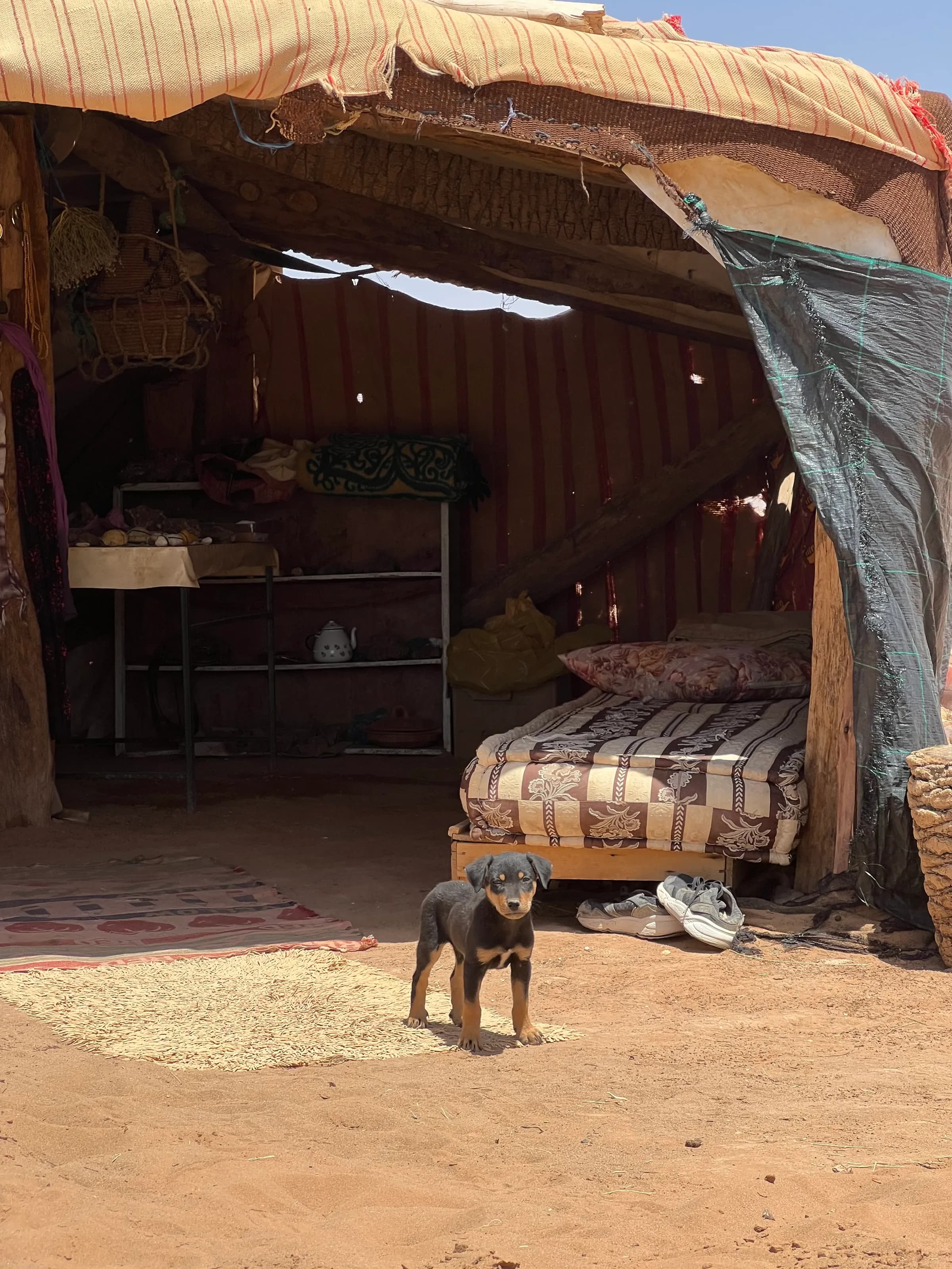 Heart of the Sahara — 5
