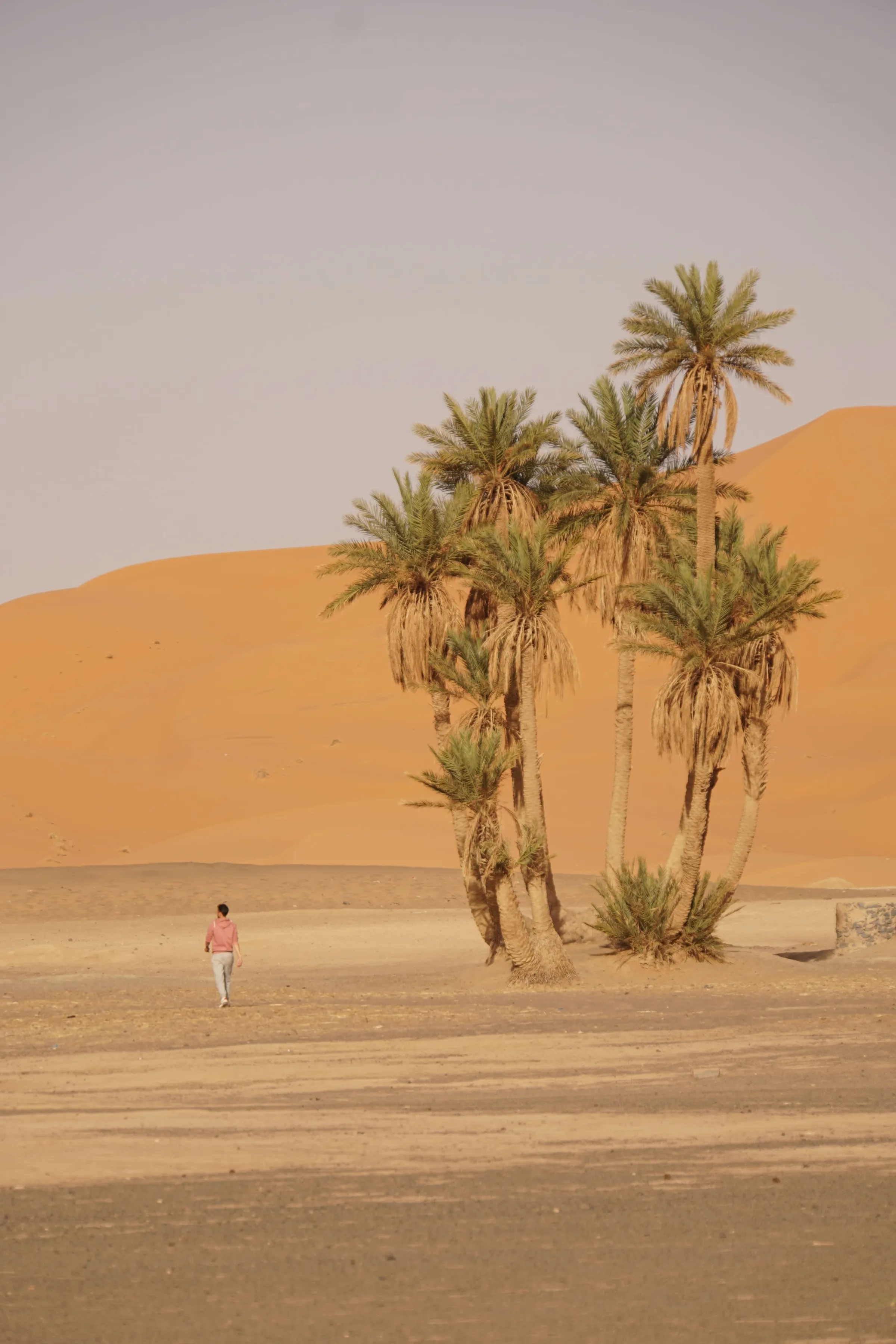 Heart of the Sahara — 6