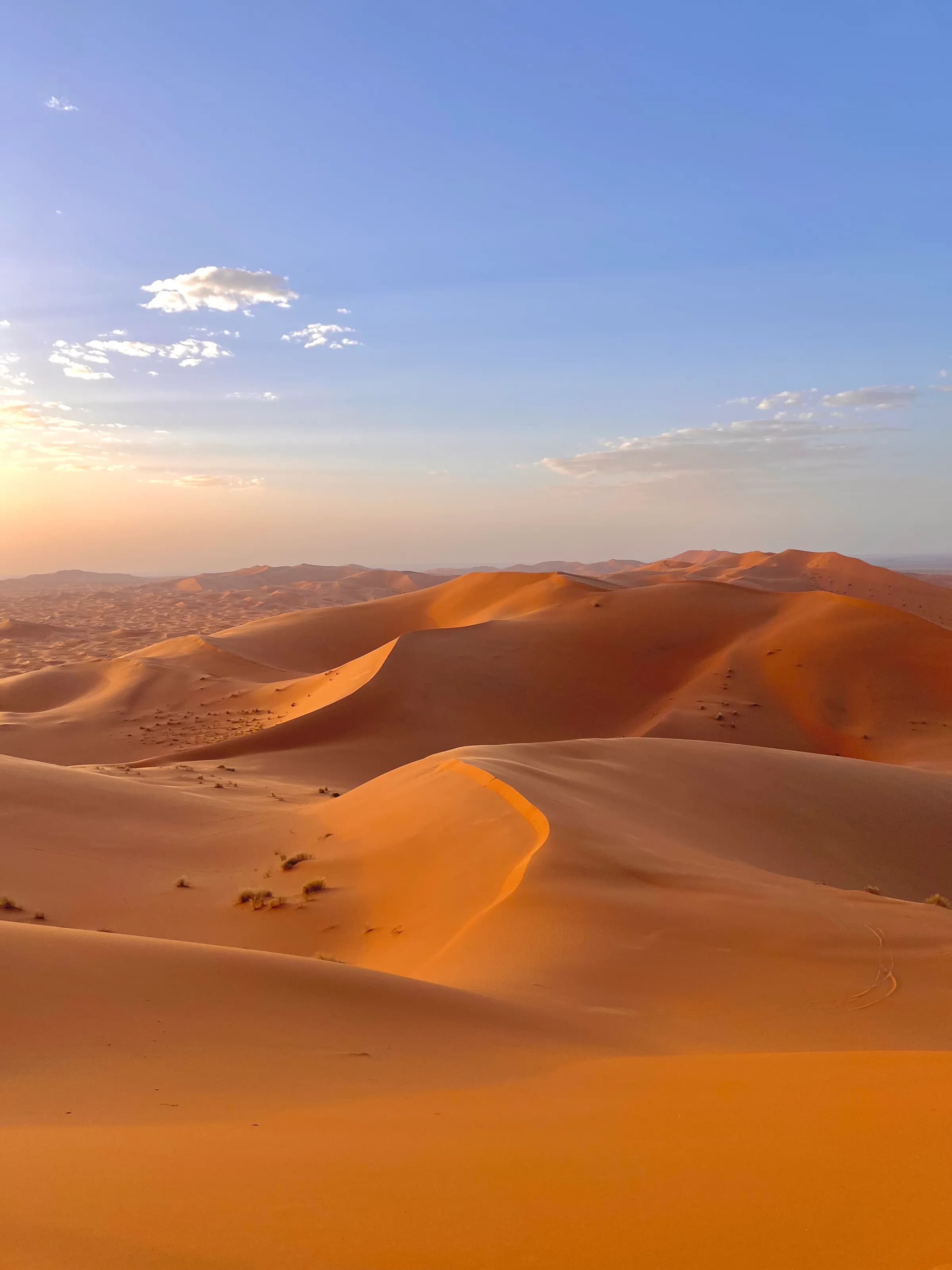 The golden dunes of Erg Chebbi at sunrise