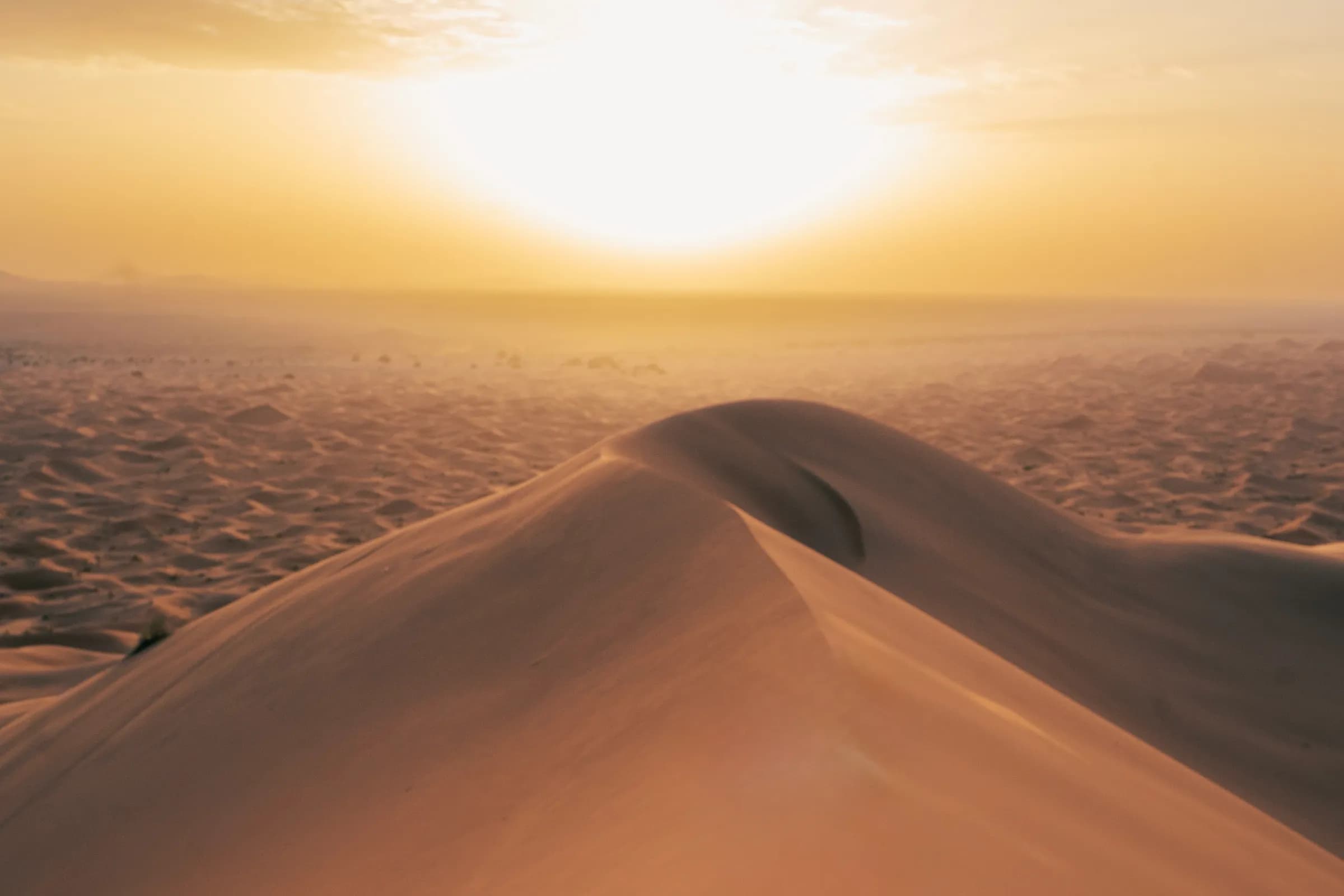 Sunset over the Sahara
