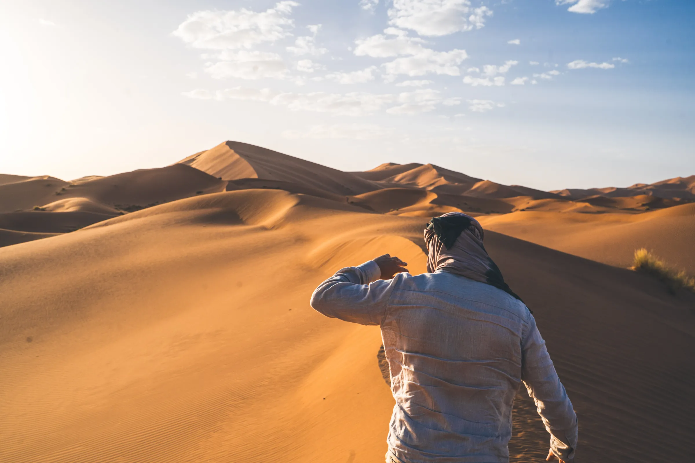 Tailor-Made Sahara