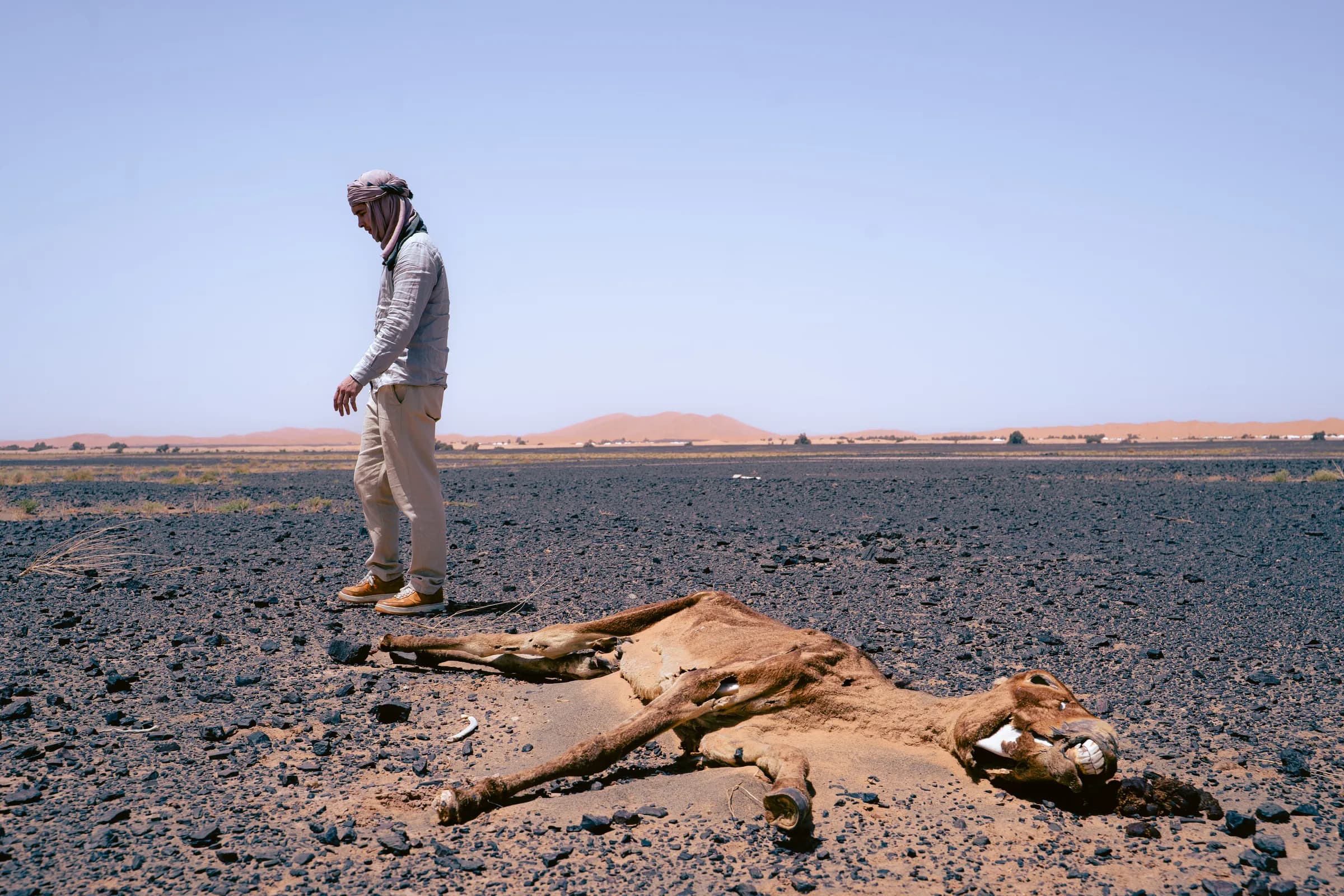 Tailor-Made Sahara — 6